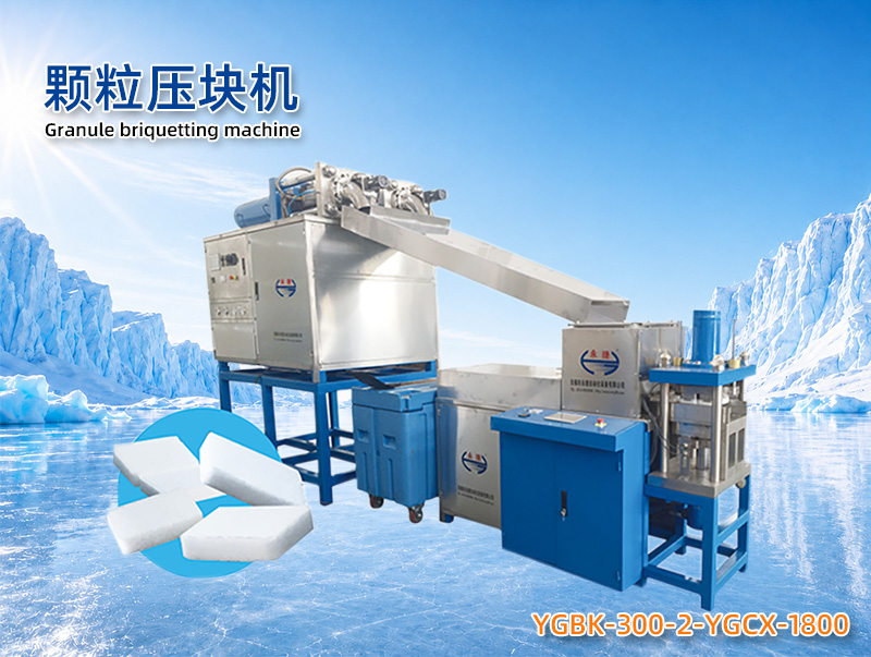 YGBK-300-2-YGCX-1800 颗粒压块机